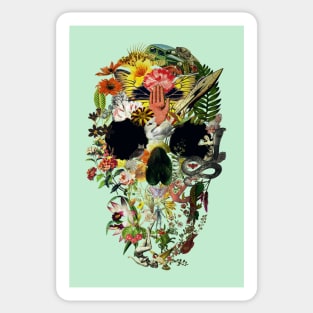 Skull Sticker